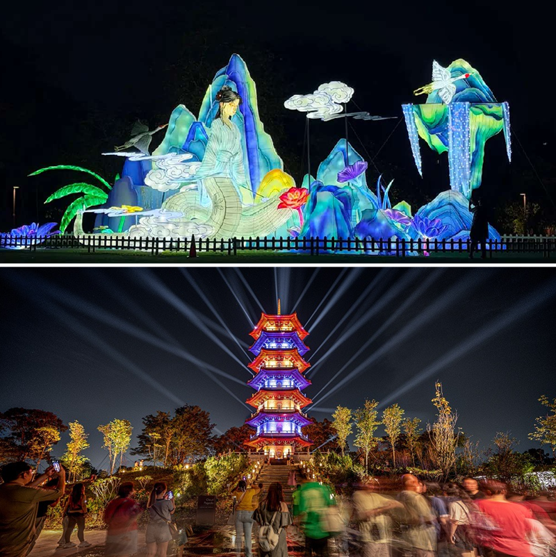 montage of lantern displays and light shows at lights by the lake event 2026